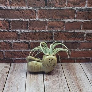 Vintage Flat Faced Cat Figurine Air Plant or Succulent Planter